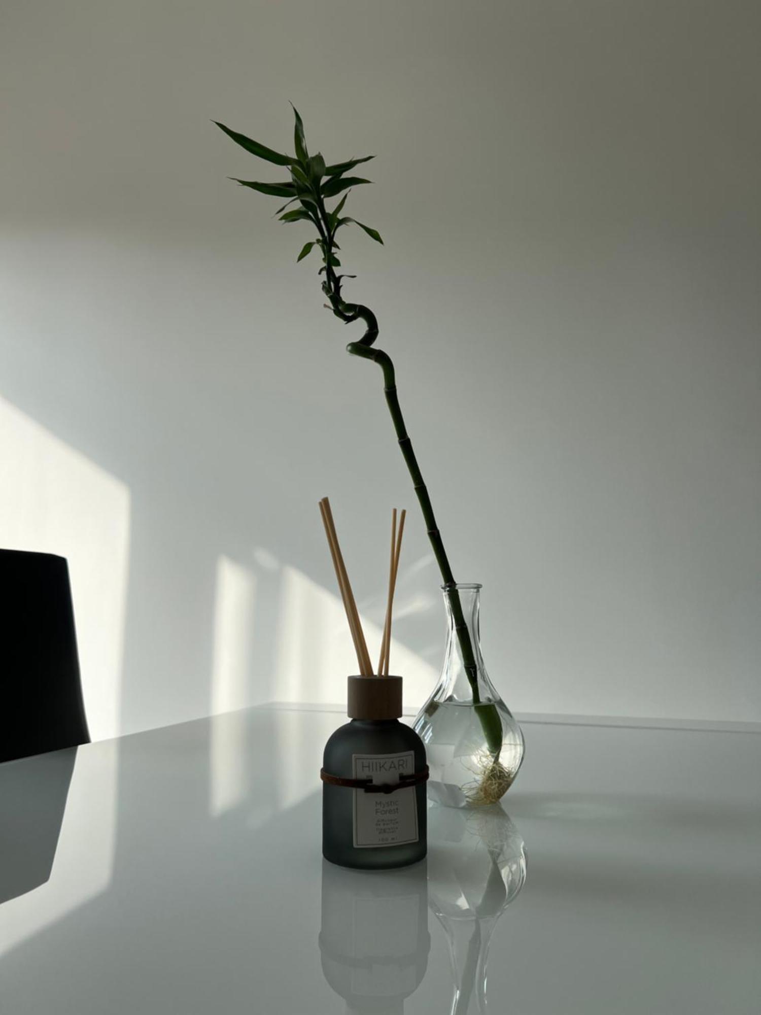 Baru's Appartement San Remo